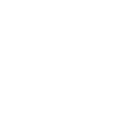 GUT