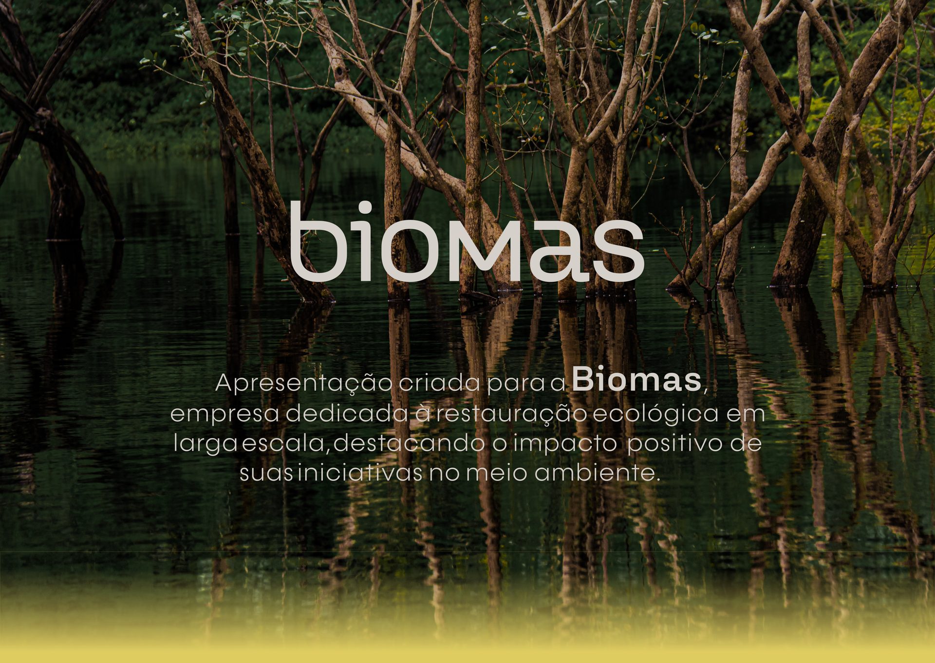 Biomas - Apresentação Institucional, capa do case