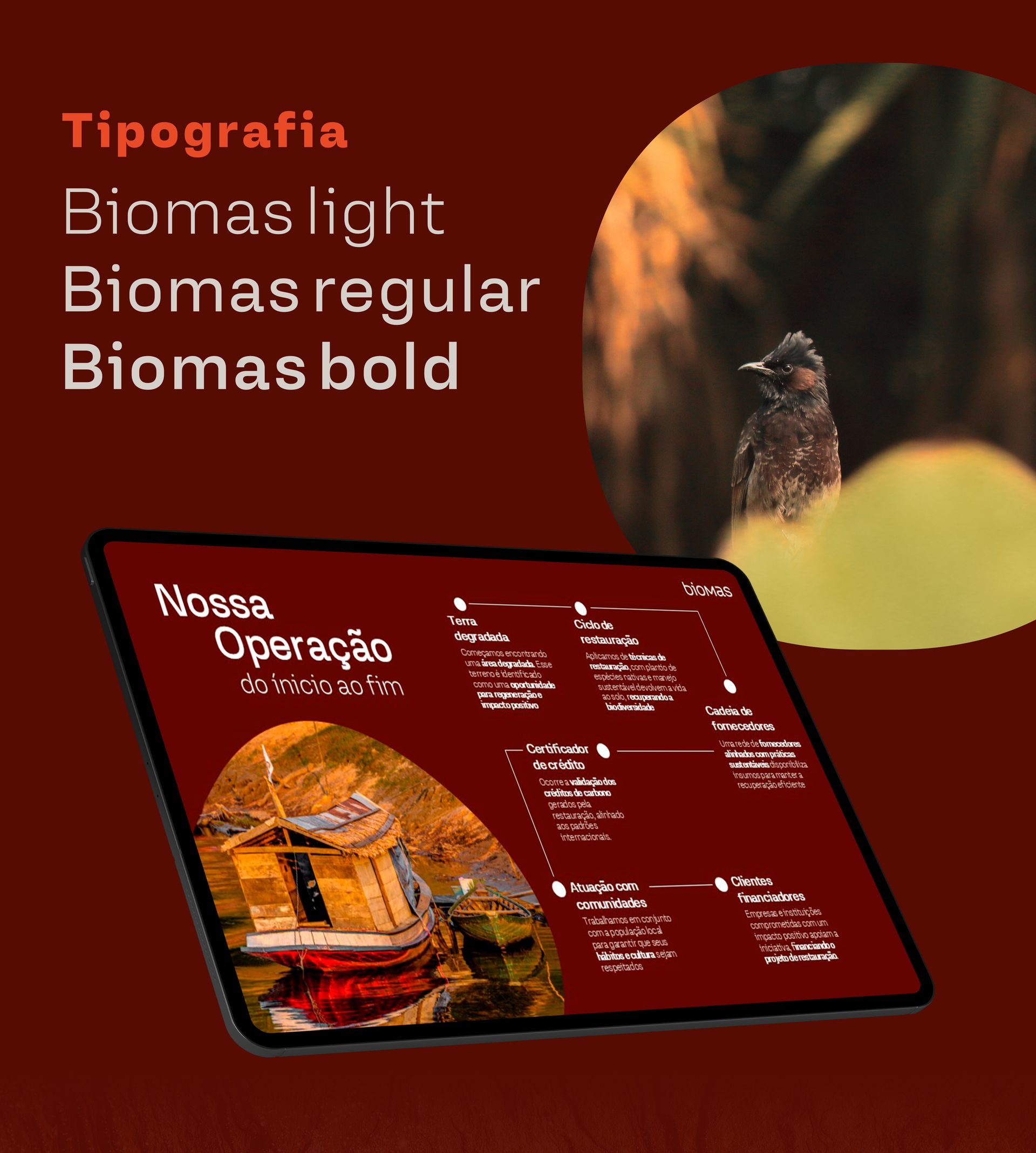 Biomas - Apresentação Institucional, tipografia