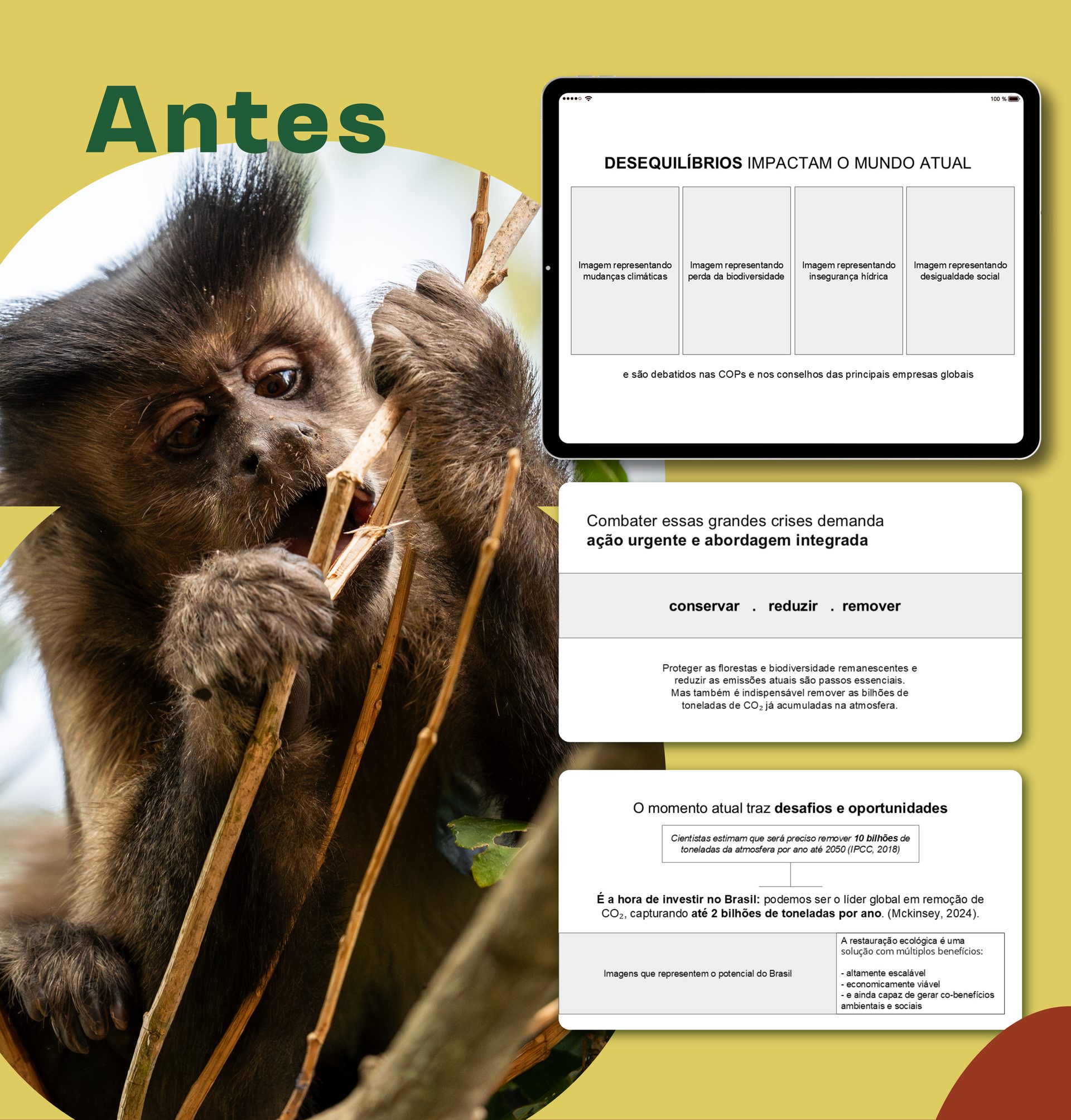 Biomas - Apresentação Institucional, antes