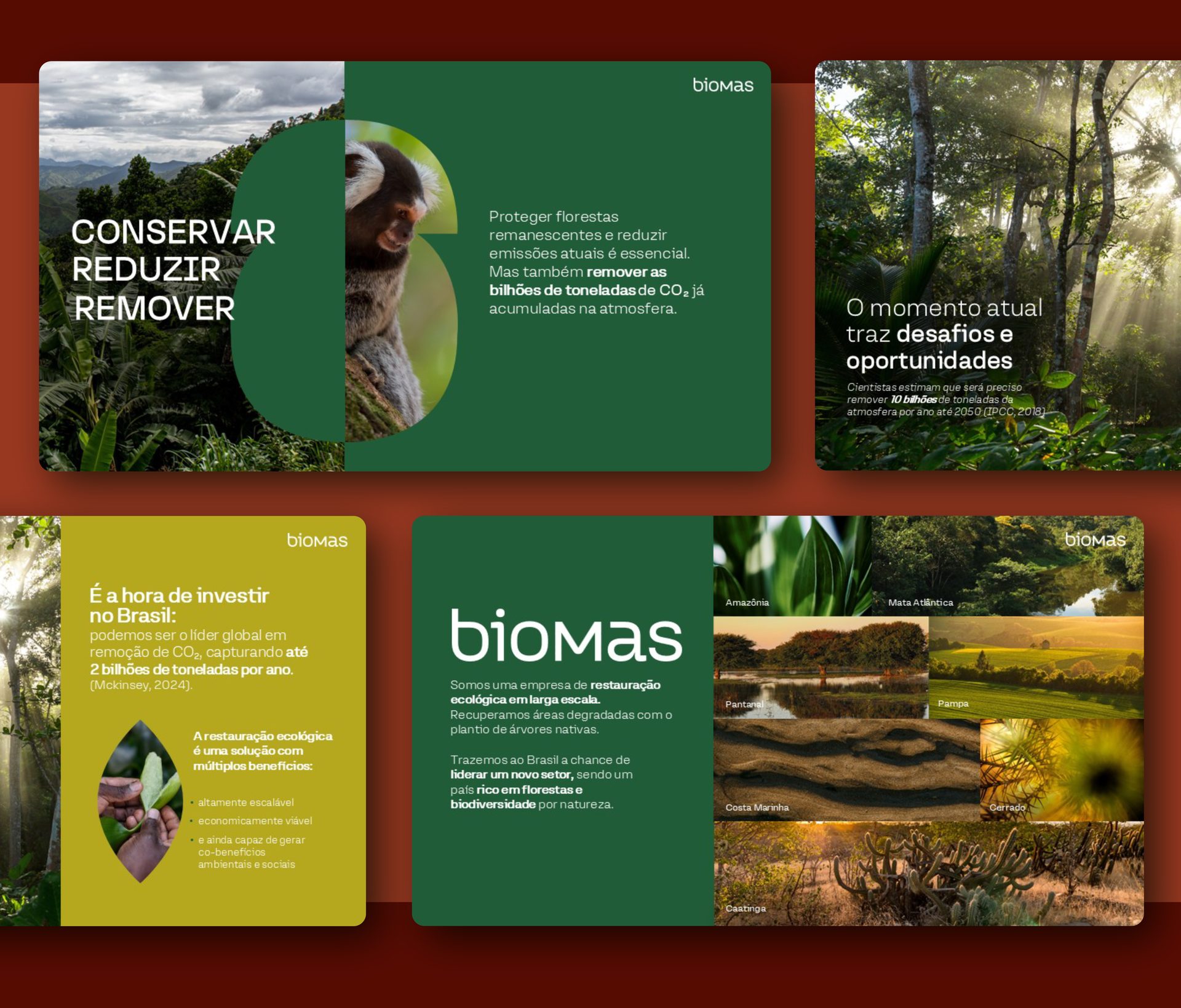 Biomas - Apresentação Institucional, slides da apresentação