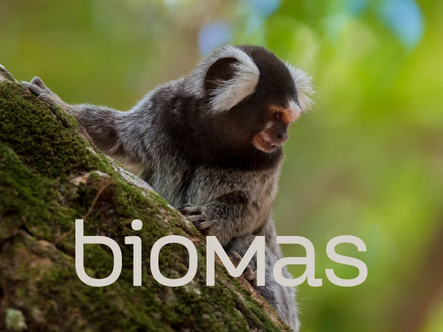 Biomas - Apresentação Institucional