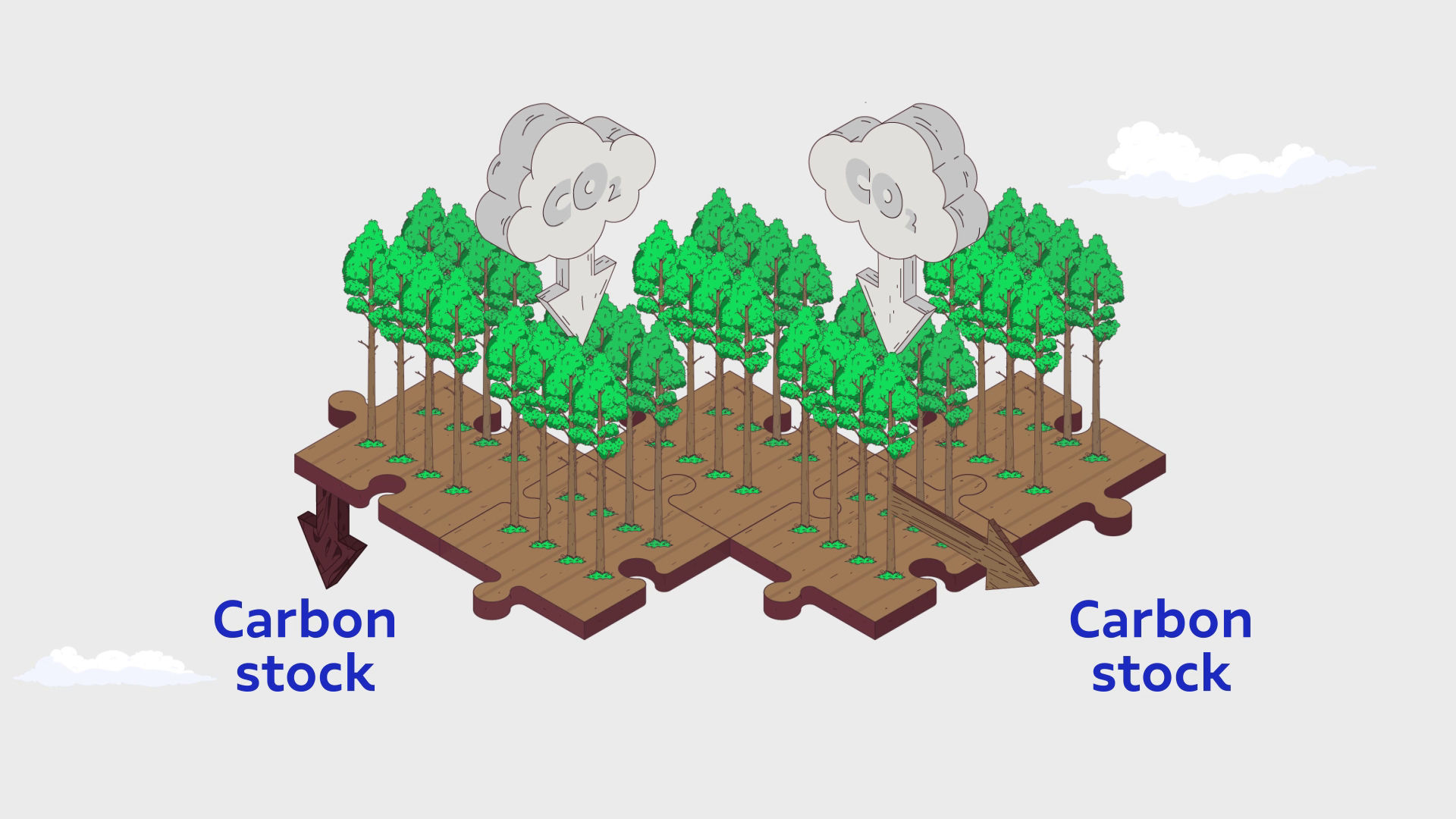Suzano - Life Cycle Assessment, ilustração 5