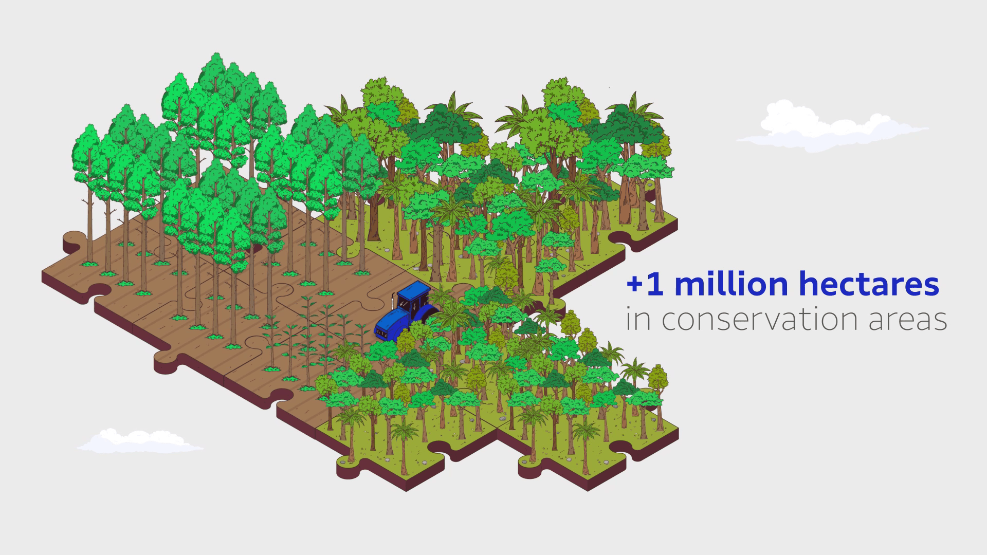 Suzano - Life Cycle Assessment, ilustração 9