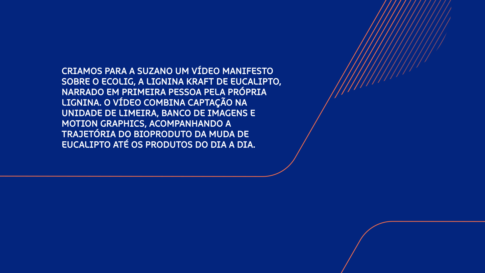 Suzano - Manifesto Ecolig, texto de apresentação do projeto